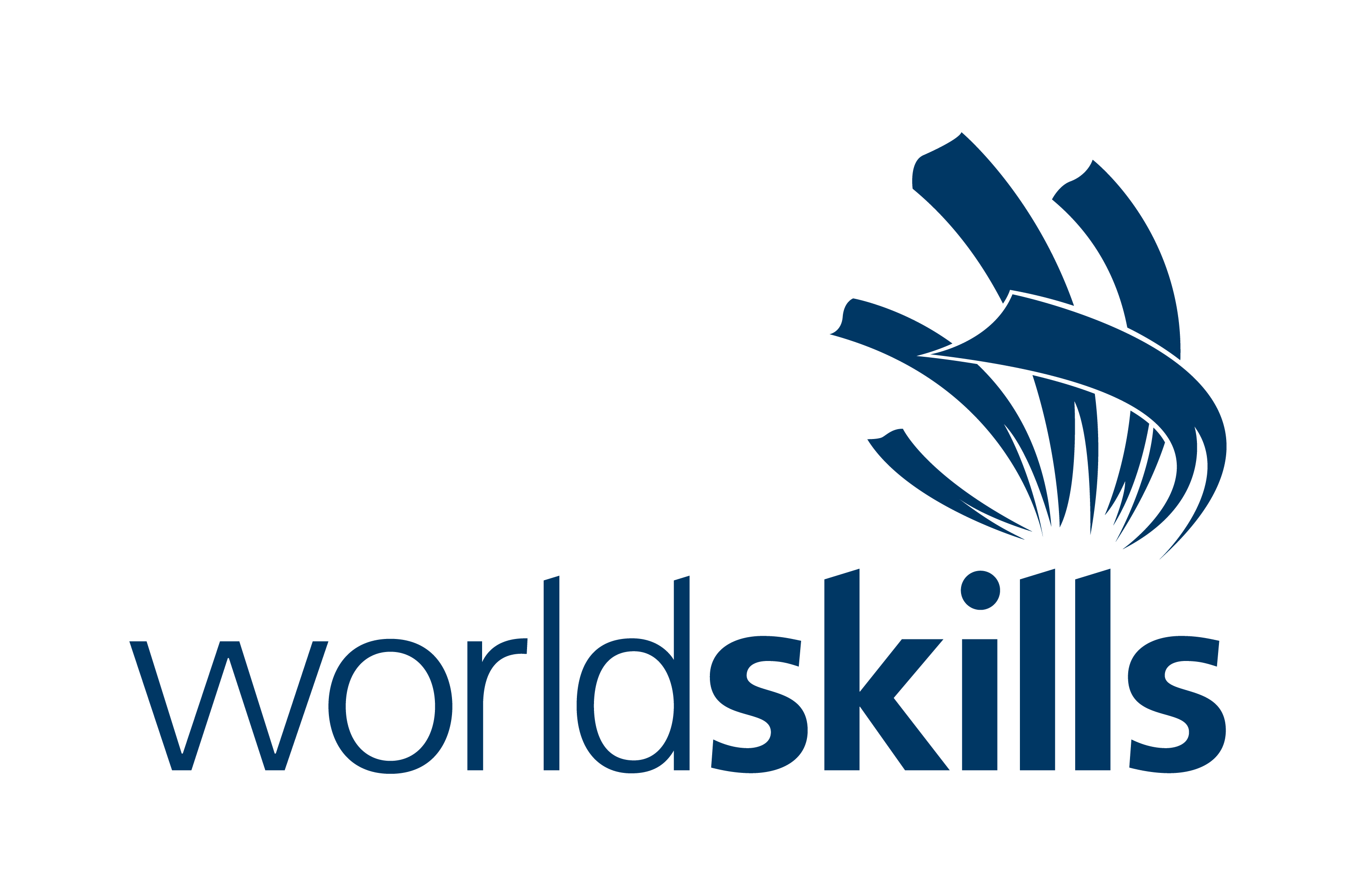 WorldSkills2019